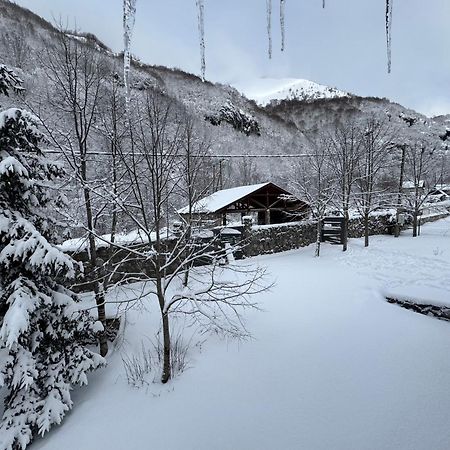 콜라신 Vikendice Biocinovici 빌라 외부 사진
