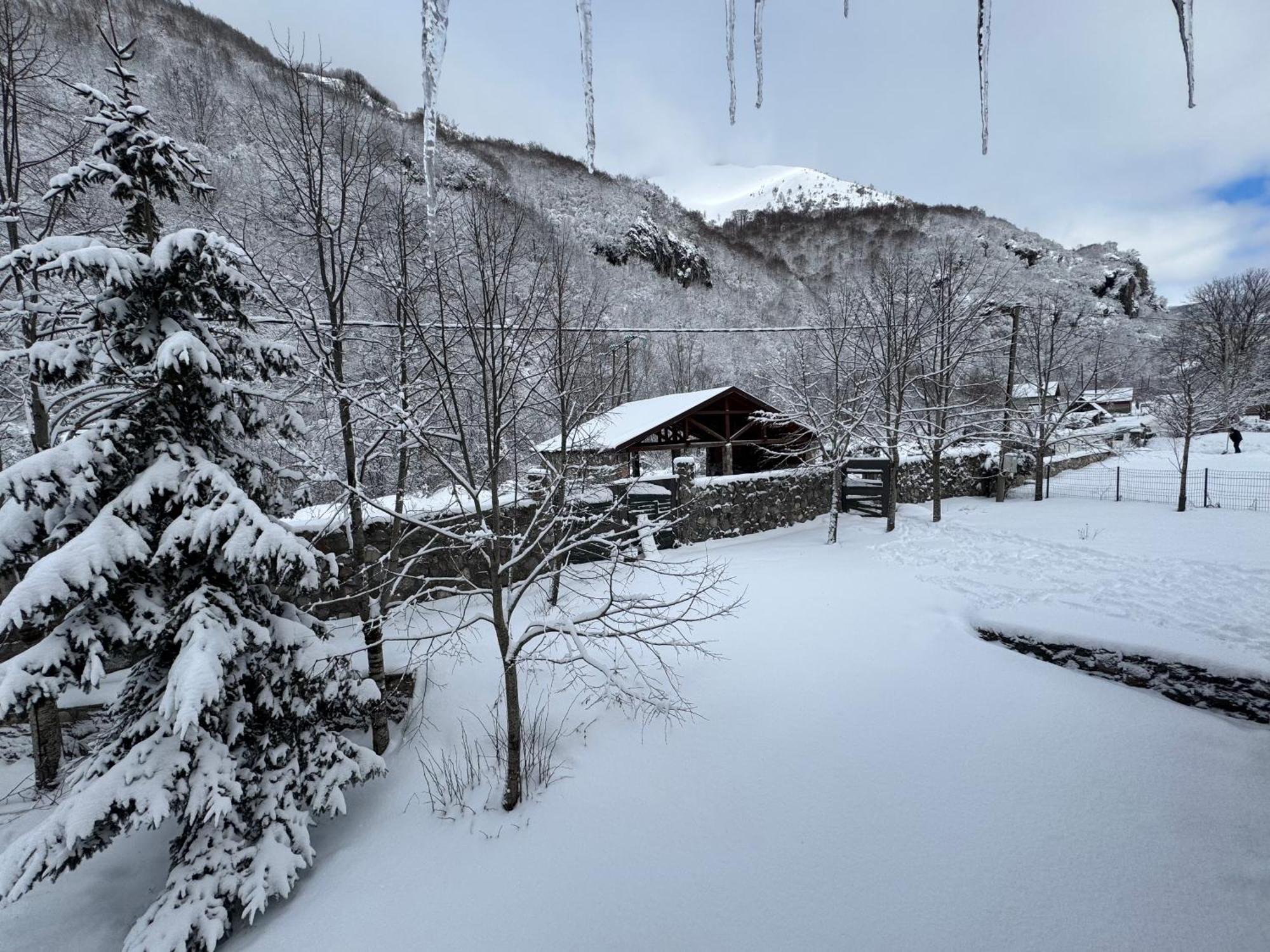 콜라신 Vikendice Biocinovici 빌라 외부 사진